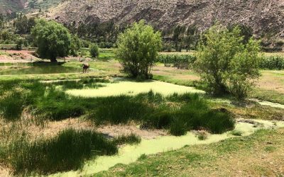Laying the Groundwork in Peru
