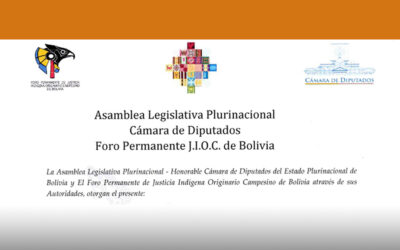 National Legislative Assembly of Bolivia Recognition