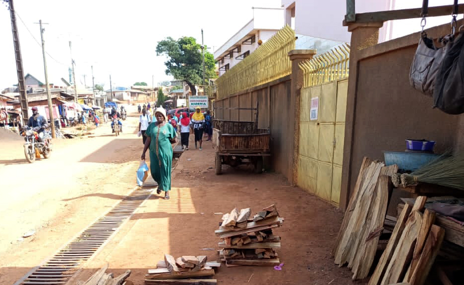 Working to Improve WASH in Healthcare Facilities in Cameroon