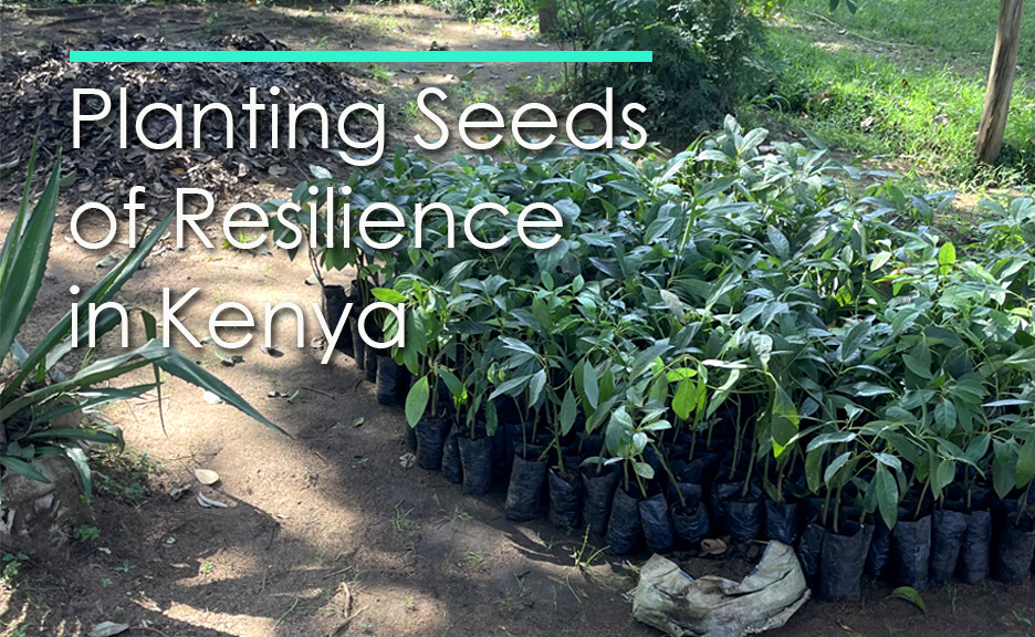 Planting Seeds of Resilience in Kenya: Fruit Trees Complement Clean Water Projects in Mumias